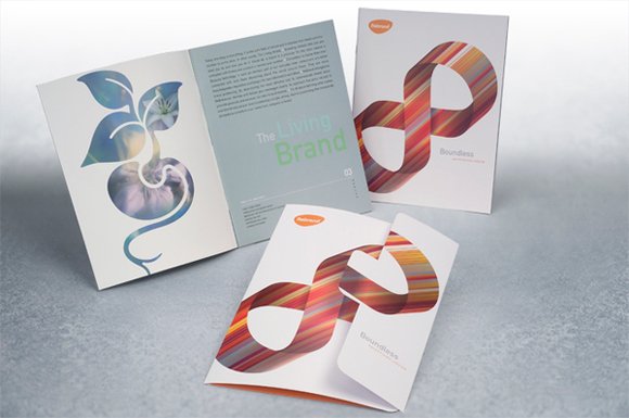 Rebrand - Brochure
