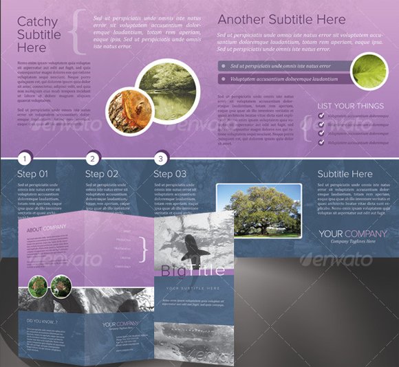 Tri-fold Brochure PSD Template