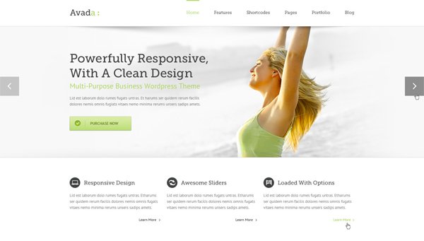 Themeforest Avada Theme