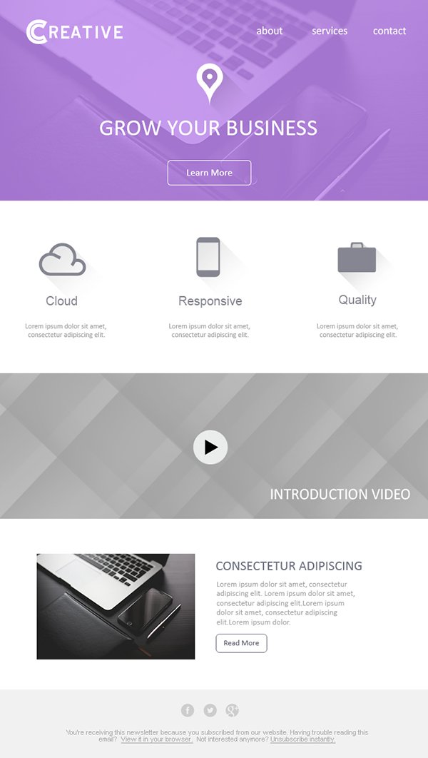 Business Email Template Design