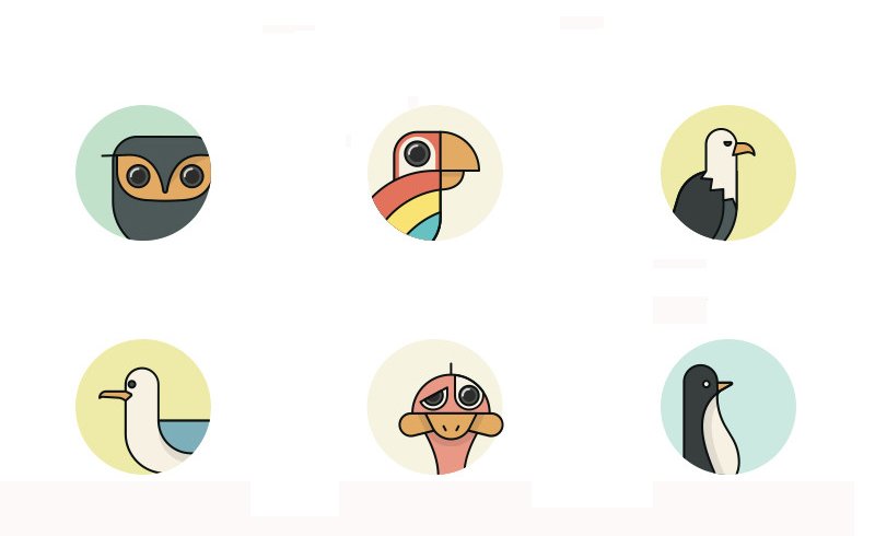 birds-vol-2