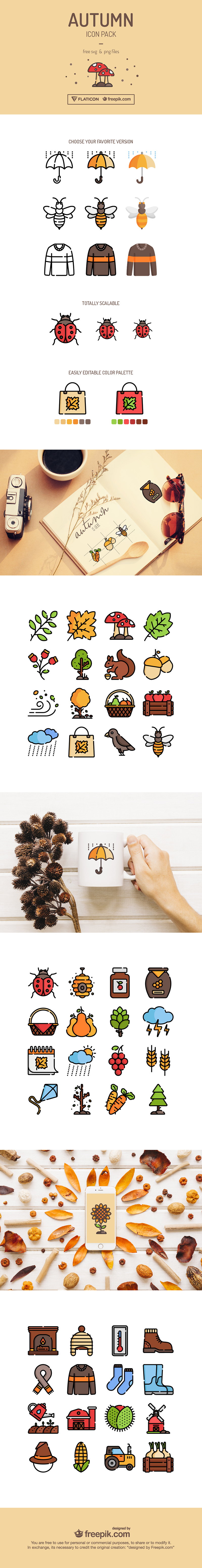 Autumn Icon Pack Design
